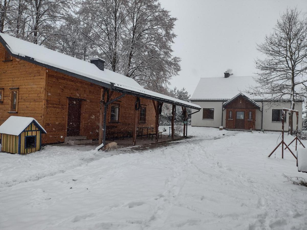 Kolorowe Wzgorze Agroturystyka I Konie Trojanow Exteriér fotografie