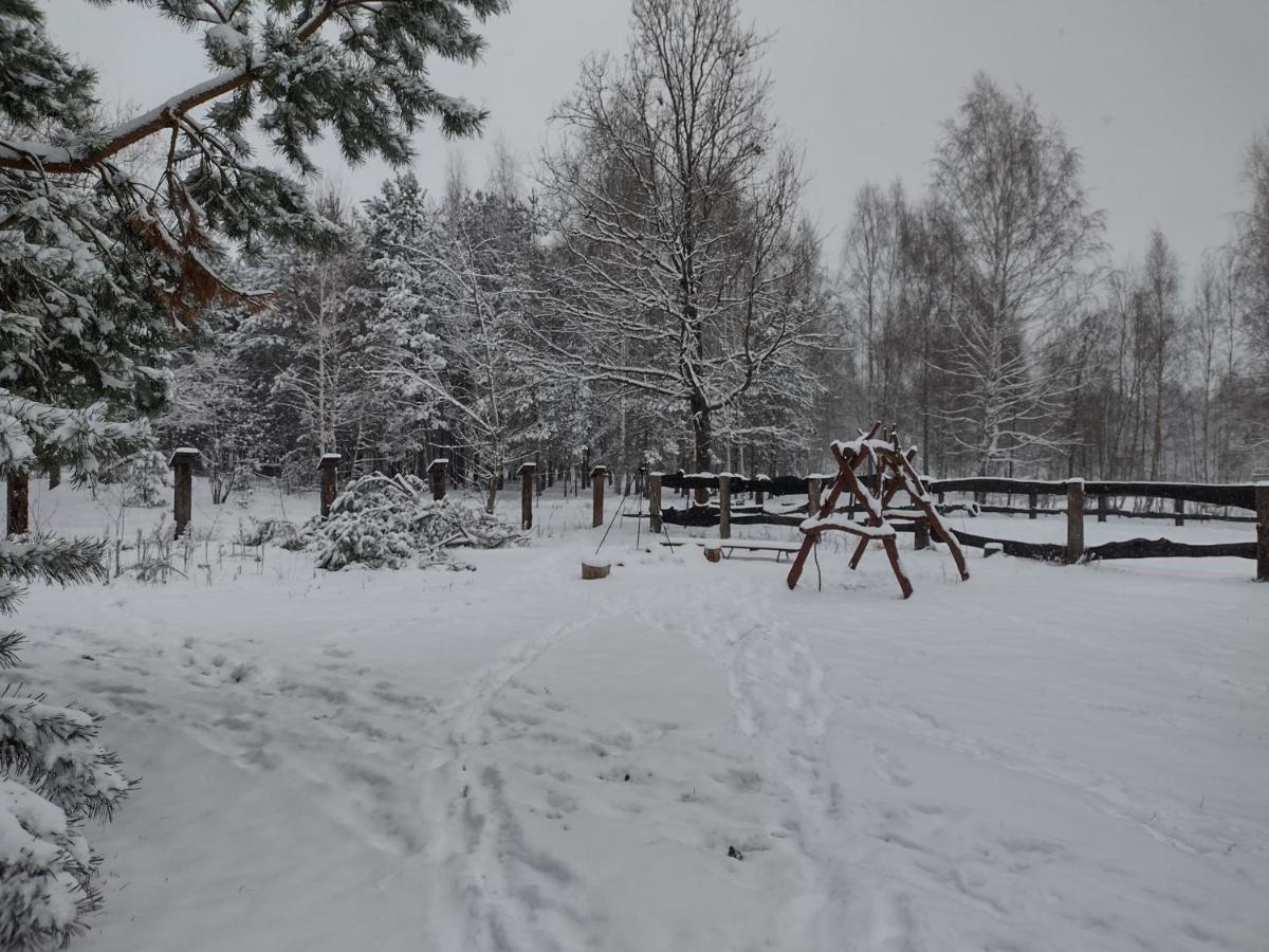Kolorowe Wzgorze Agroturystyka I Konie Trojanow Exteriér fotografie