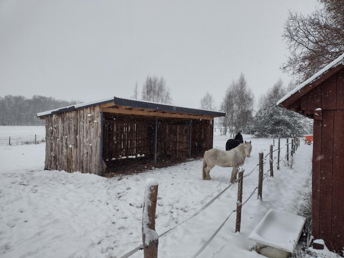 Kolorowe Wzgorze Agroturystyka I Konie Trojanow Exteriér fotografie
