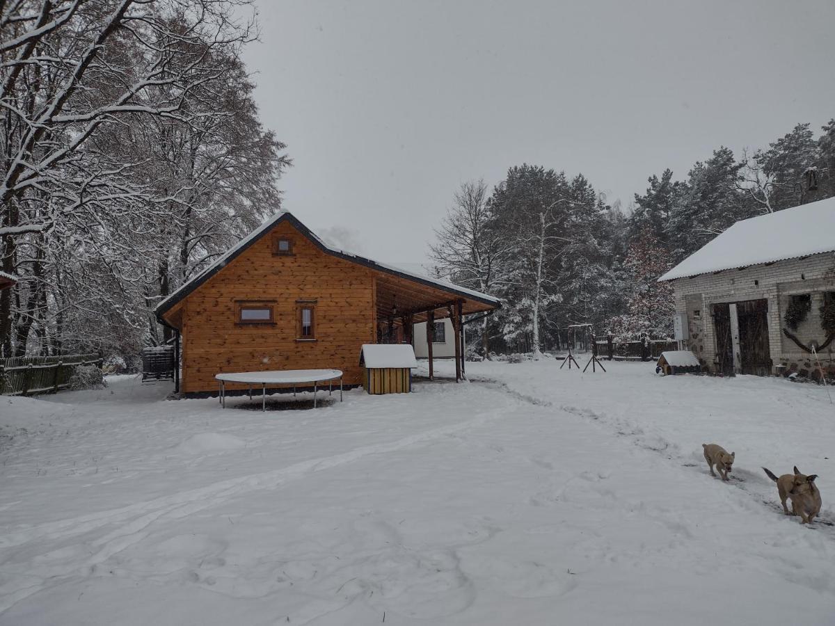 Kolorowe Wzgorze Agroturystyka I Konie Trojanow Exteriér fotografie