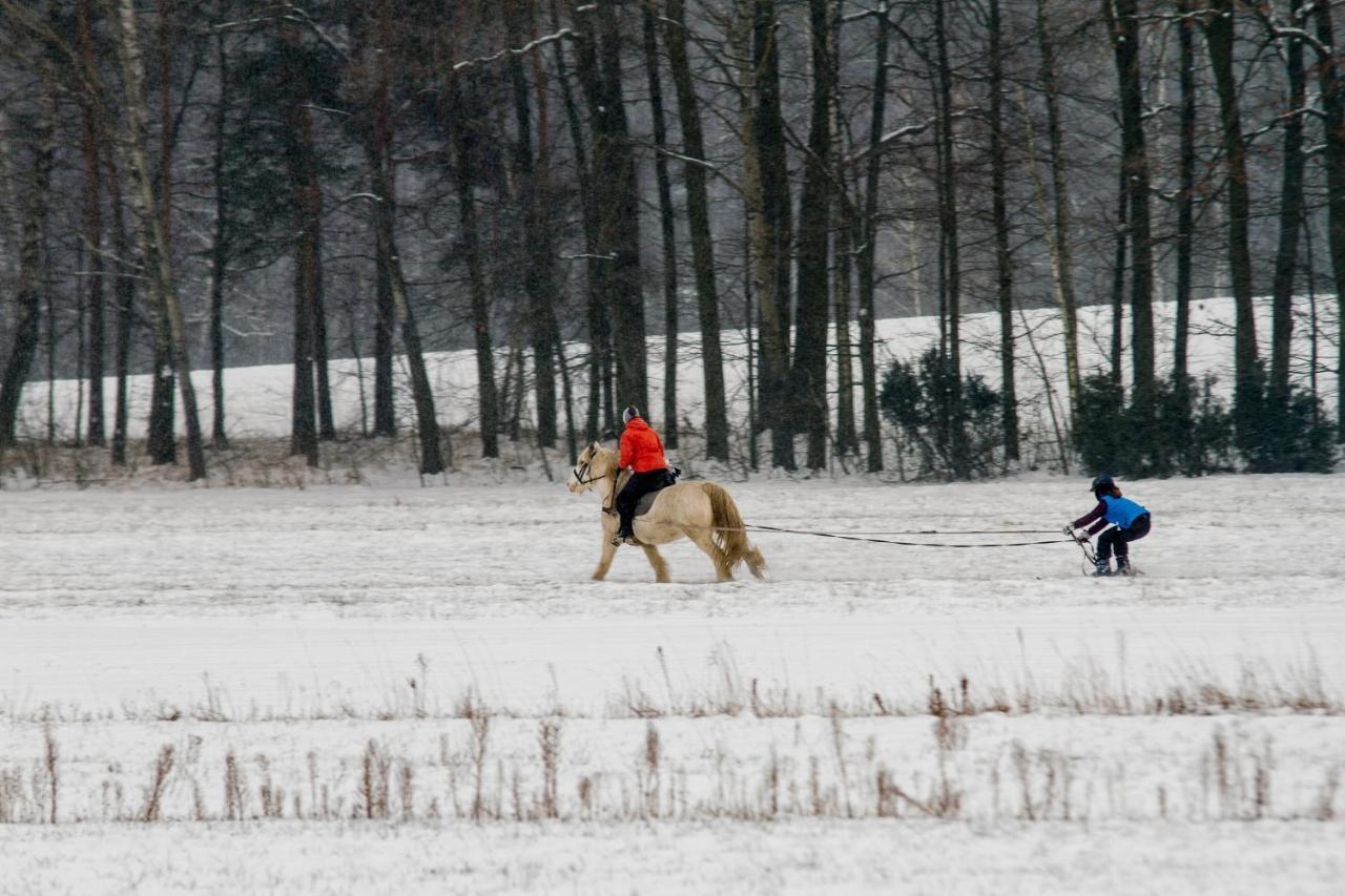 Kolorowe Wzgorze Agroturystyka I Konie Trojanow Exteriér fotografie
