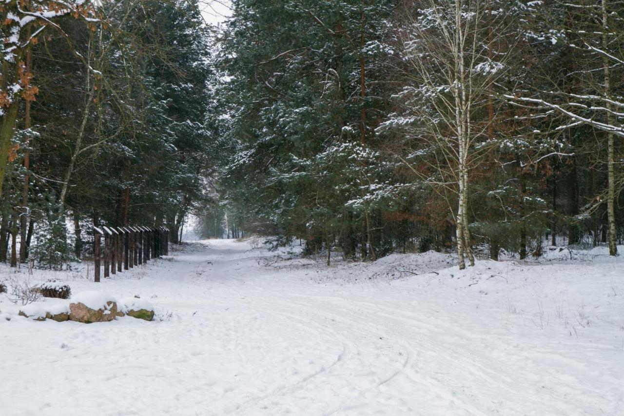 Kolorowe Wzgorze Agroturystyka I Konie Trojanow Exteriér fotografie
