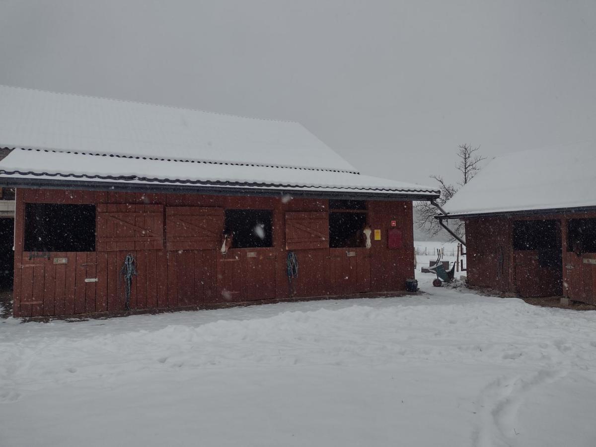 Kolorowe Wzgorze Agroturystyka I Konie Trojanow Exteriér fotografie