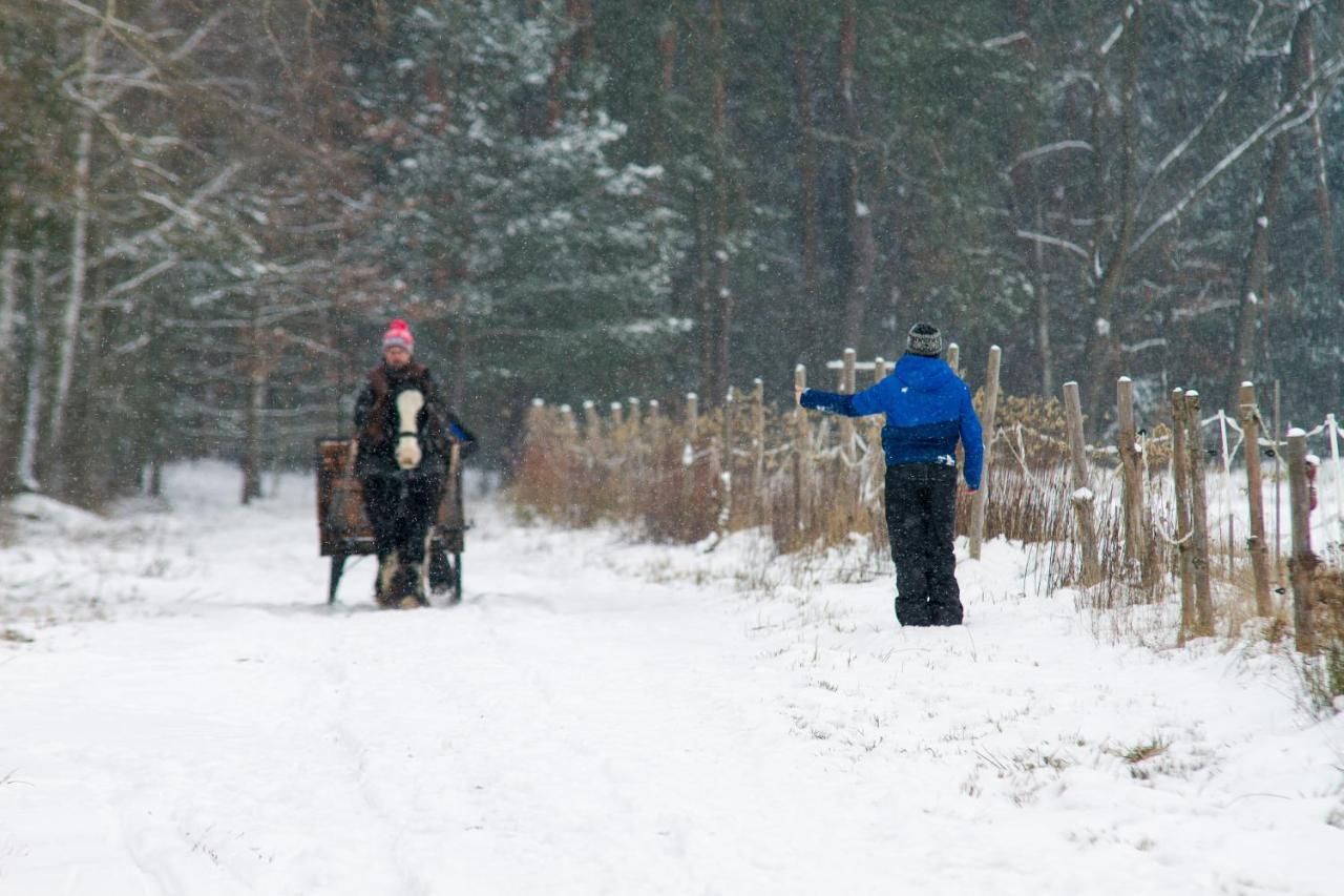 Kolorowe Wzgorze Agroturystyka I Konie Trojanow Exteriér fotografie