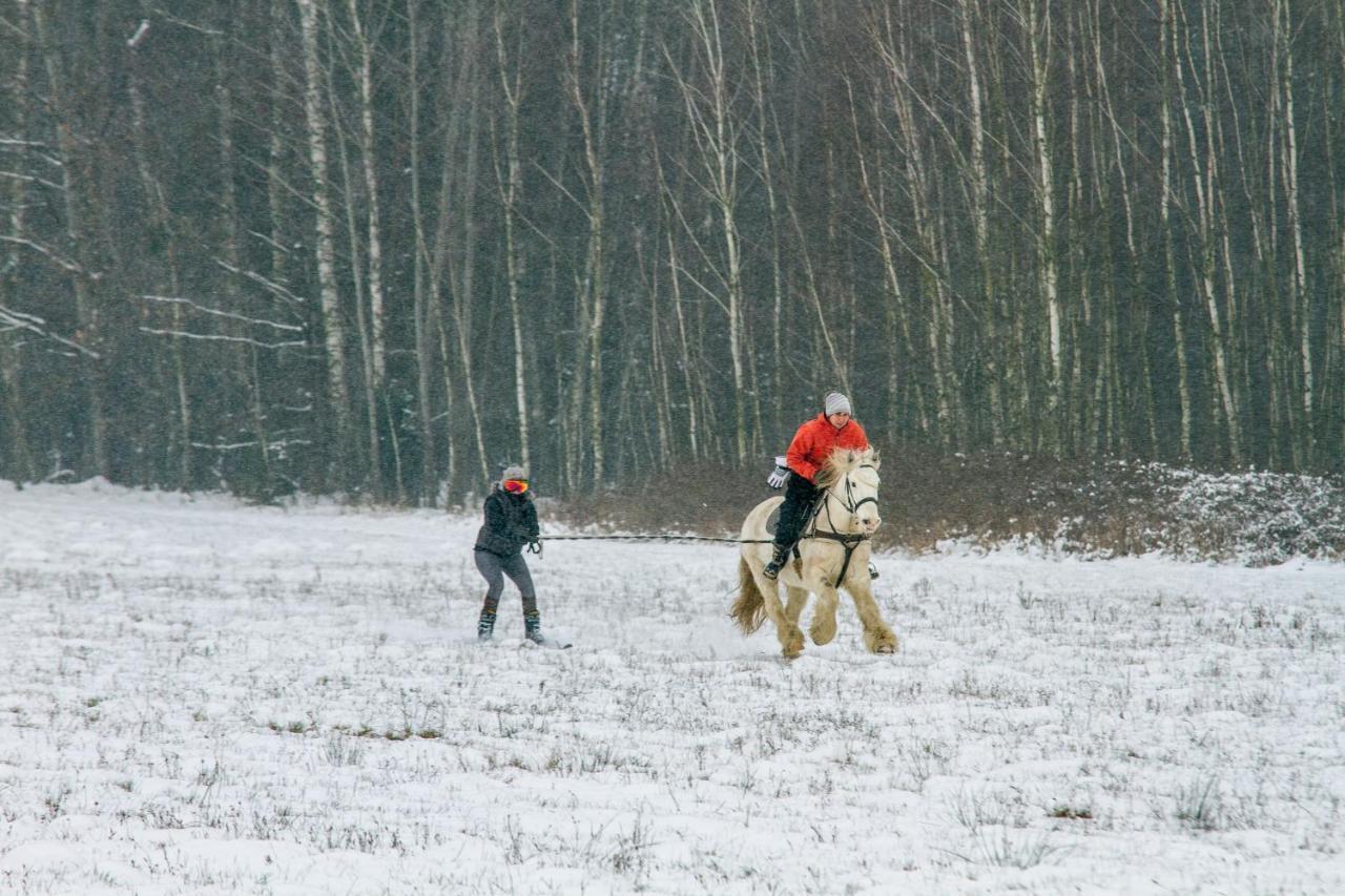 Kolorowe Wzgorze Agroturystyka I Konie Trojanow Exteriér fotografie