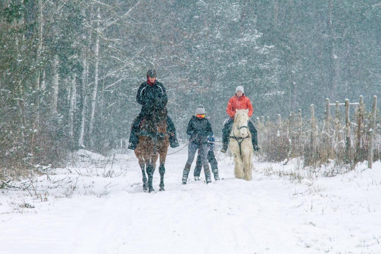 Kolorowe Wzgorze Agroturystyka I Konie Trojanow Exteriér fotografie