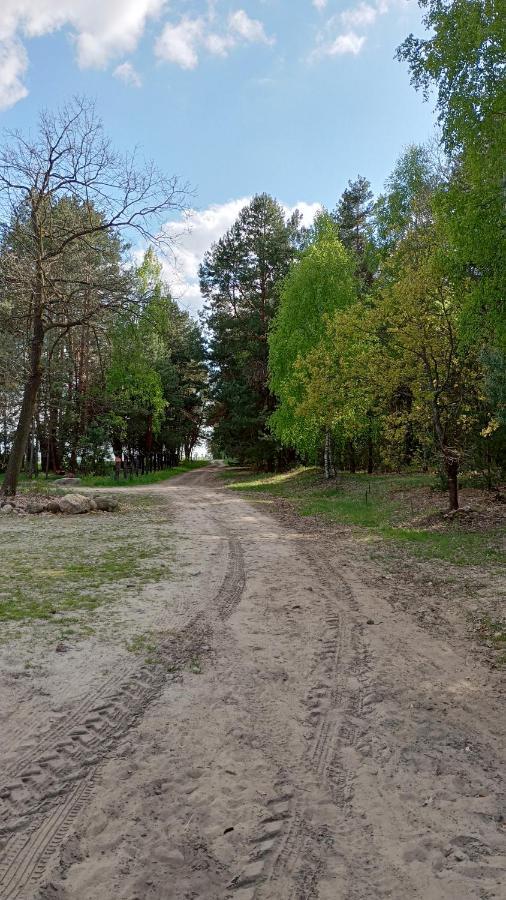 Kolorowe Wzgorze Agroturystyka I Konie Trojanow Exteriér fotografie