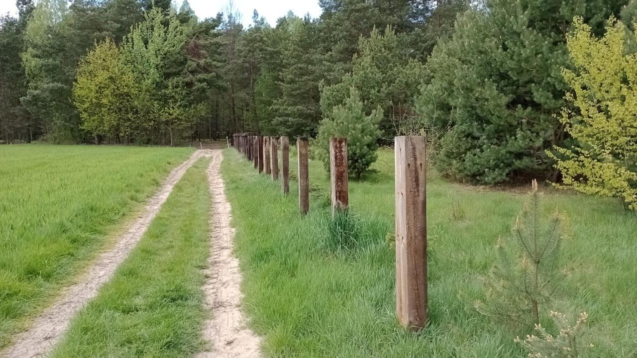 Kolorowe Wzgorze Agroturystyka I Konie Trojanow Exteriér fotografie